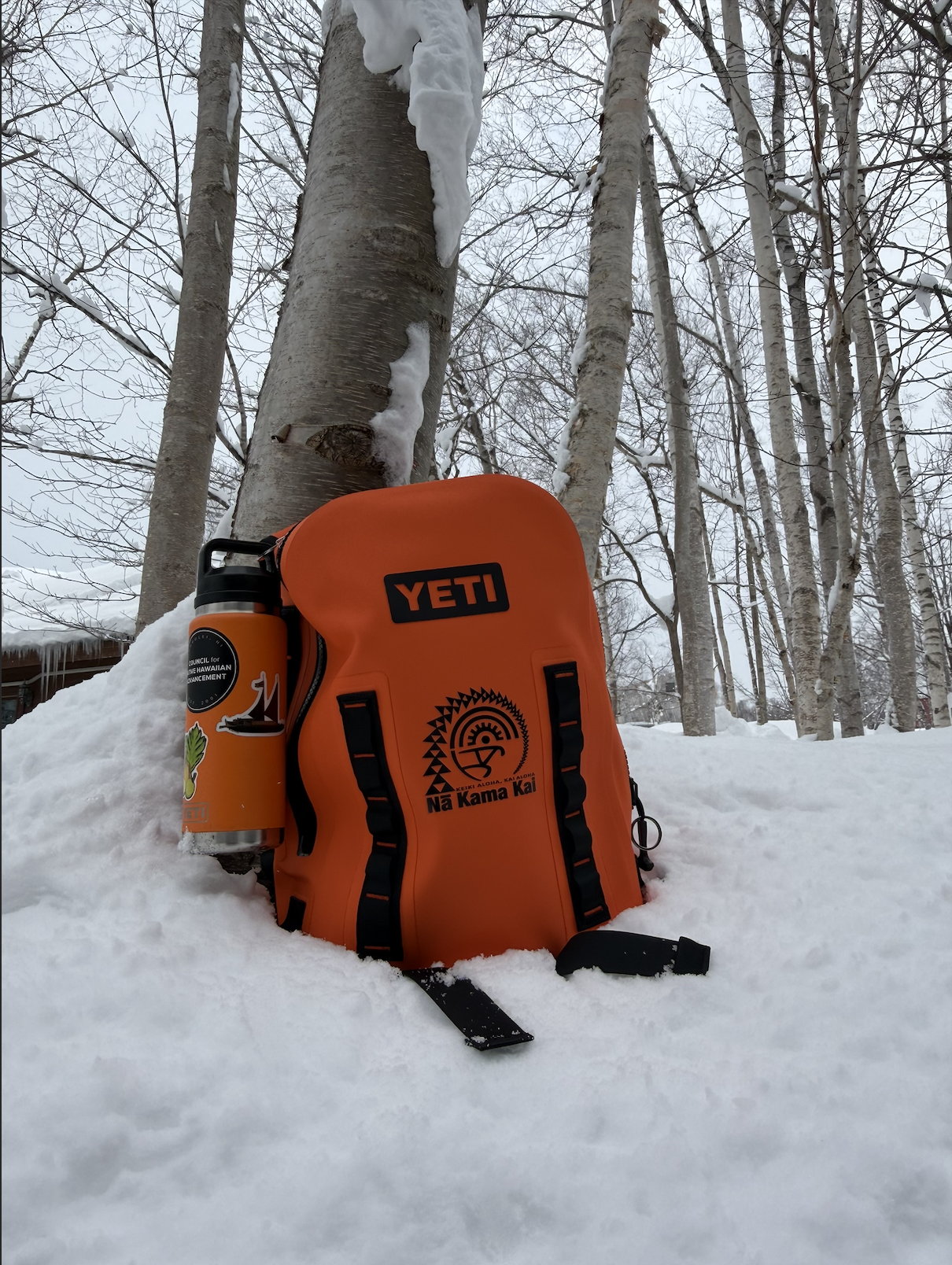 YETI® Panga Waterproof Backpack - Image 8